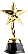 Crown Partner of the Year
